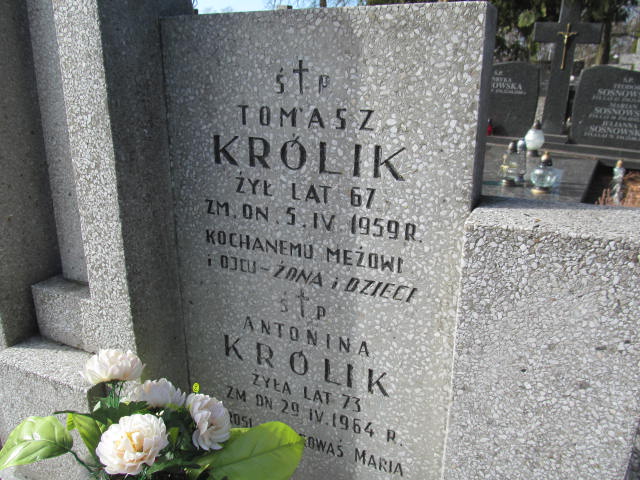 Antonina Królik 1891 Chynów - Grobonet - Wyszukiwarka osób pochowanych