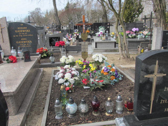 Grób Henryk Lachowicz